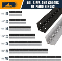ALBO 24 Inch Silver Heavy Duty Piano Hinge Continuous Stainless Steel 2-Pack