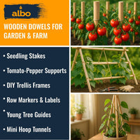 Albo 1" x 36" Birch Wooden Dowel Rods - 5 Pack Natural Craft Sticks for DIY & Woodworking